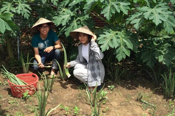 Bỏ cơ hội ở Singapore, cô gái Việt về Sài Gòn bán nước mát